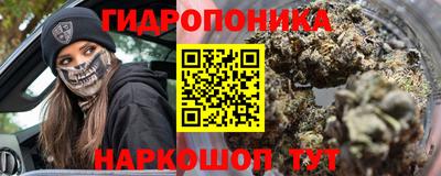 бошки Гагарин