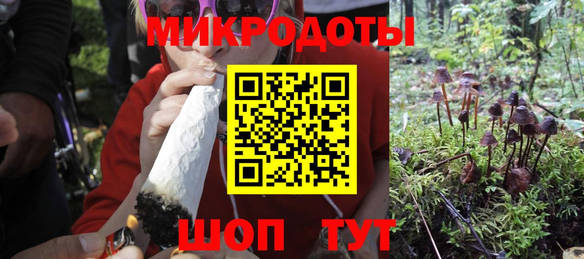 Псилоцибиновые грибы Psilocybine cubensis Первоуральск